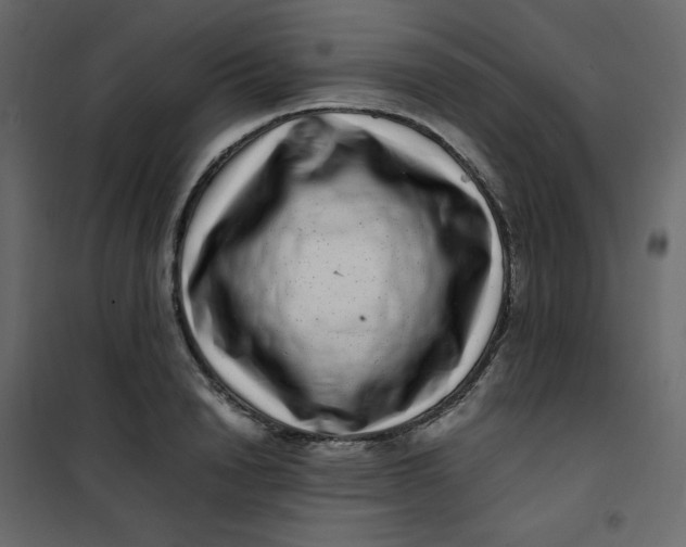 X0000101100846200807171910