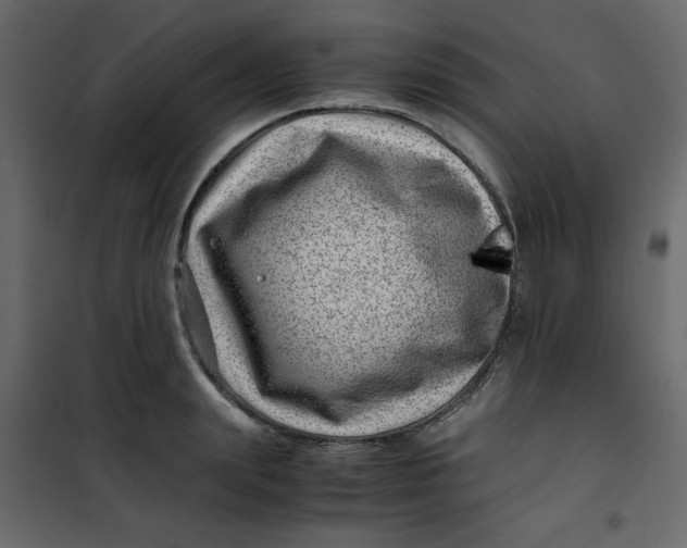 X0000101100847200807171910