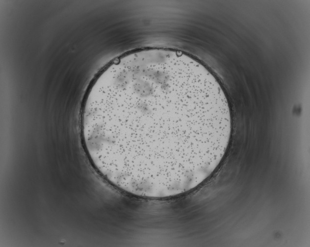 X0000101100848200807171910