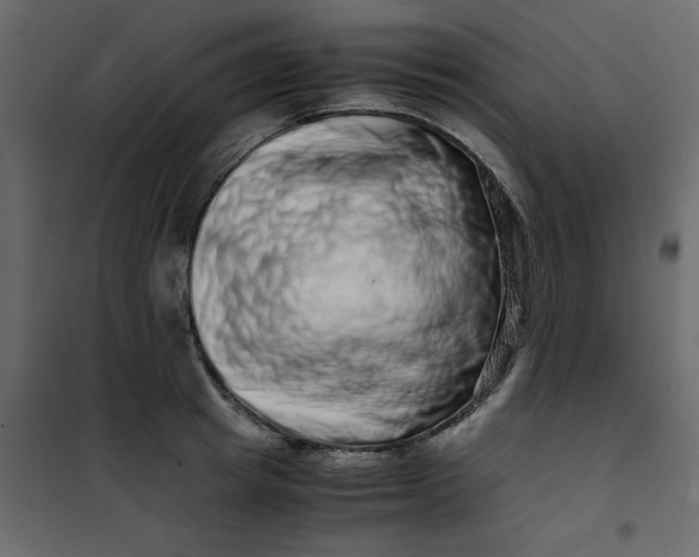 X0000101100849200807171910