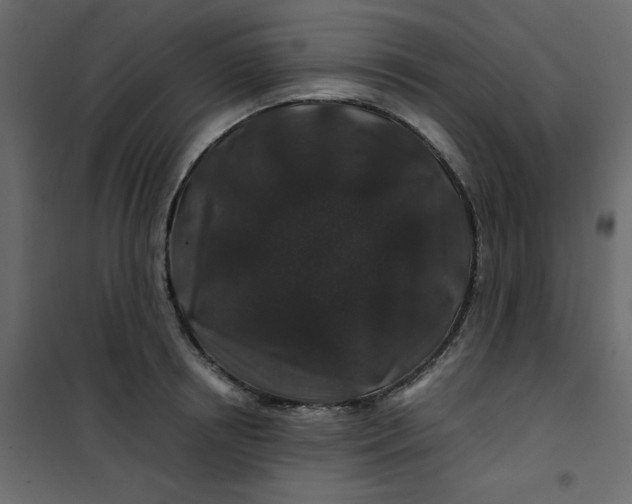 X0000101100850200807171910