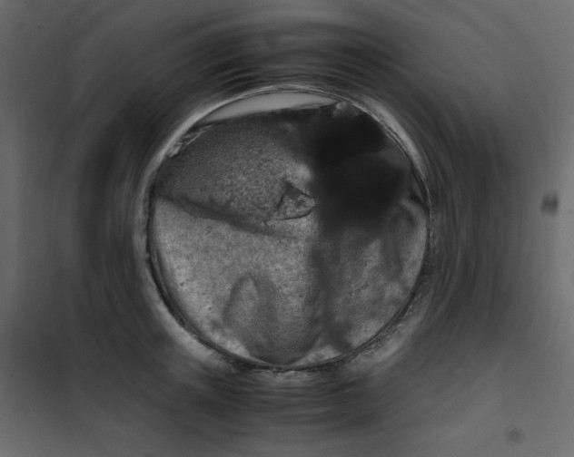 X0000101100851200807171910