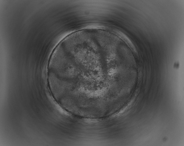 X0000101100852200807171910