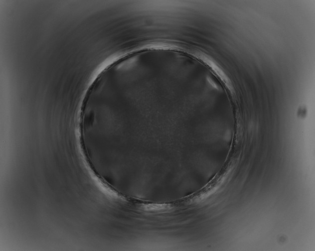 X0000101100853200807171910