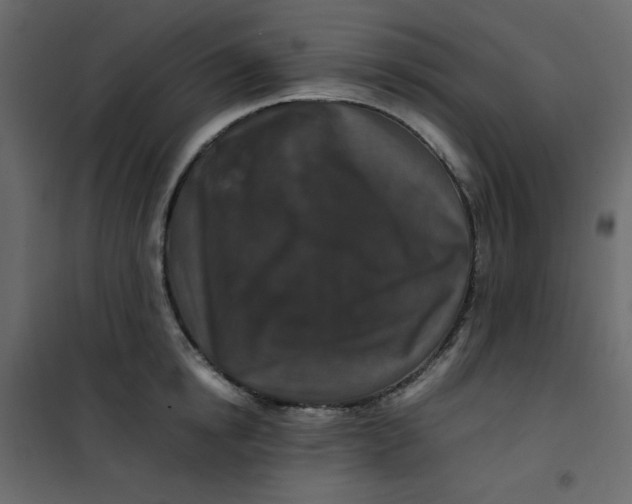 X0000101100854200807171910