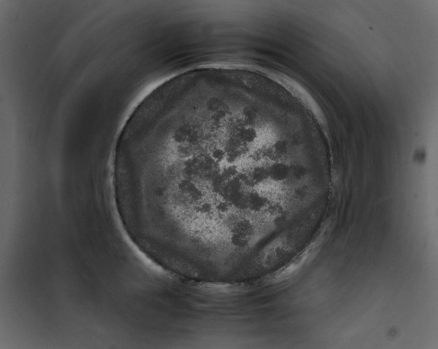 X0000101100855200807171910