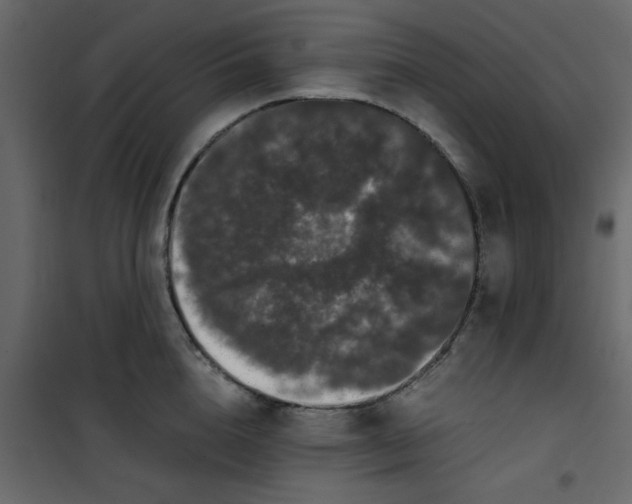 X0000101100856200807171910