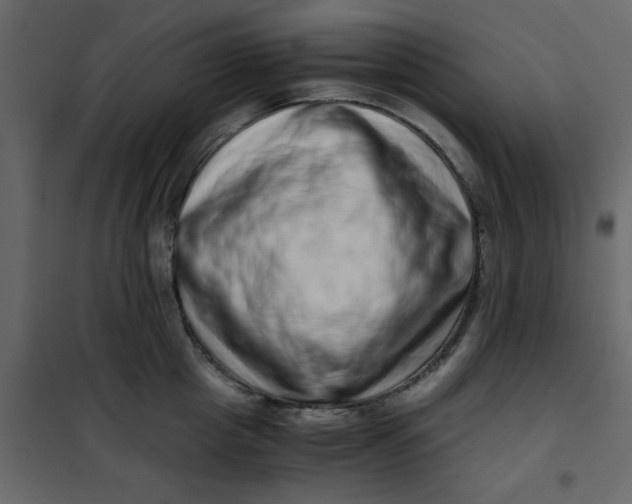 X0000101100857200807171910