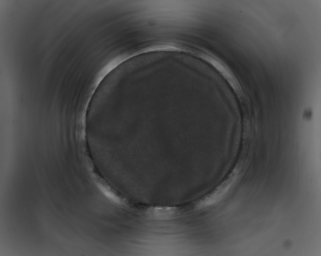 X0000101100858200807171910