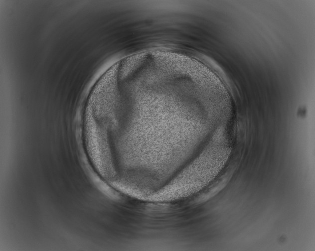 X0000101100859200807171910