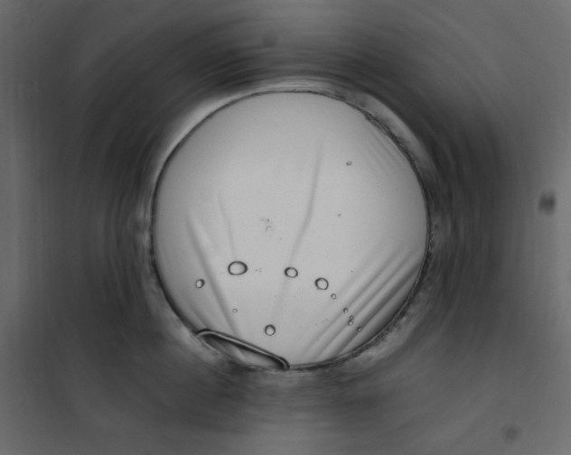 X0000101100860200807171910