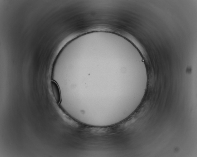 X0000101100861200807171910