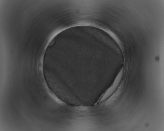 X0000101100862200807171910