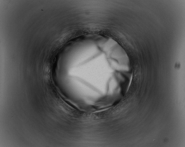 X0000101100866200807171910