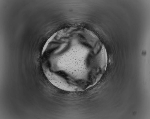 X0000101100867200807171910