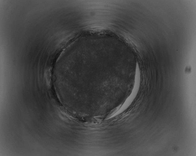 X0000101100868200807171910