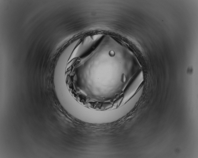 X0000101100872200807171909