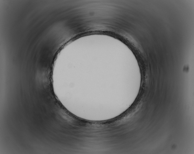 X0000101100873200807171909