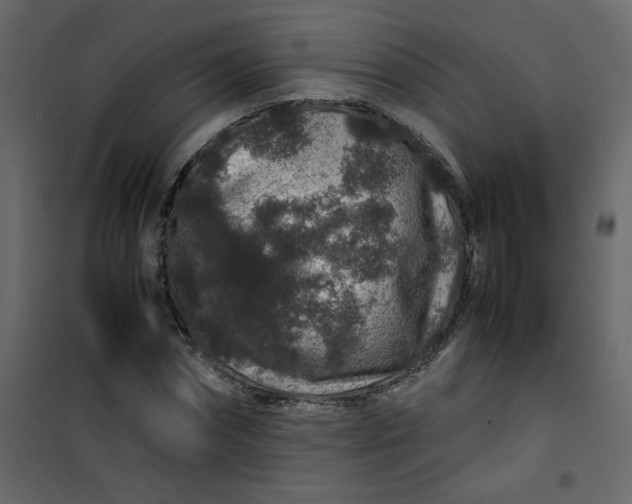 X0000101100874200807171909