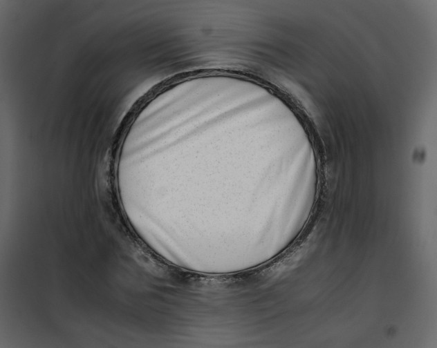 X0000101100875200807171909