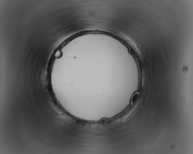 X0000101100876200807171909