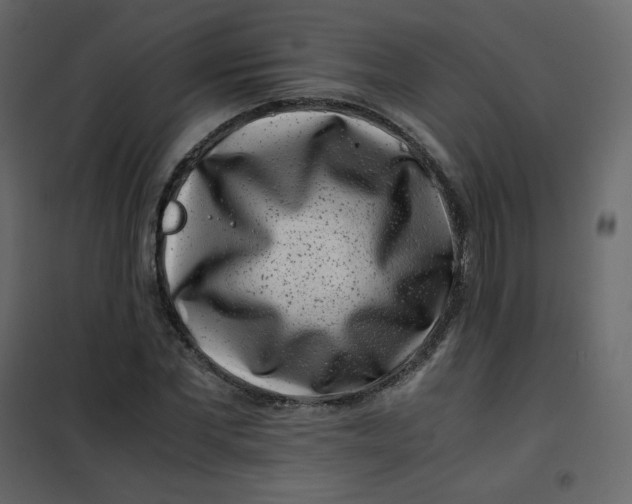 X0000101100877200807171909