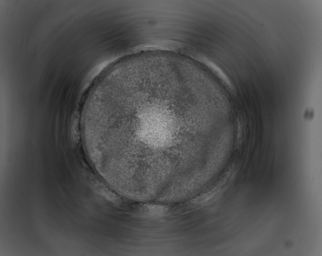 X0000101100878200807171909