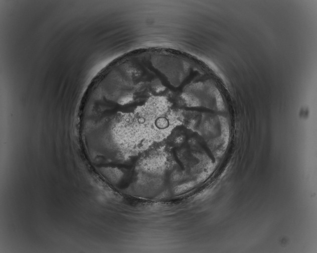 X0000101100879200807171909