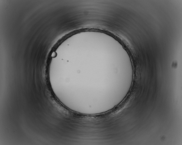 X0000101100880200807171909