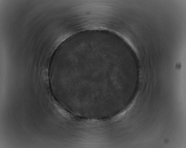 X0000101100881200807171909