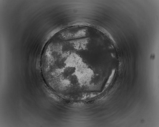 X0000101100882200807171909