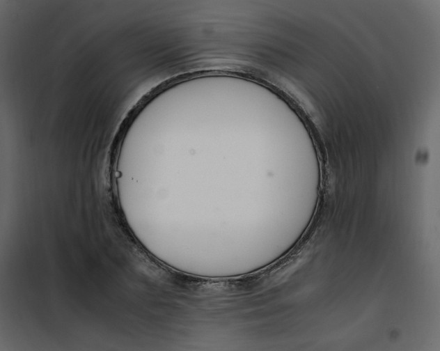 X0000101100883200807171909