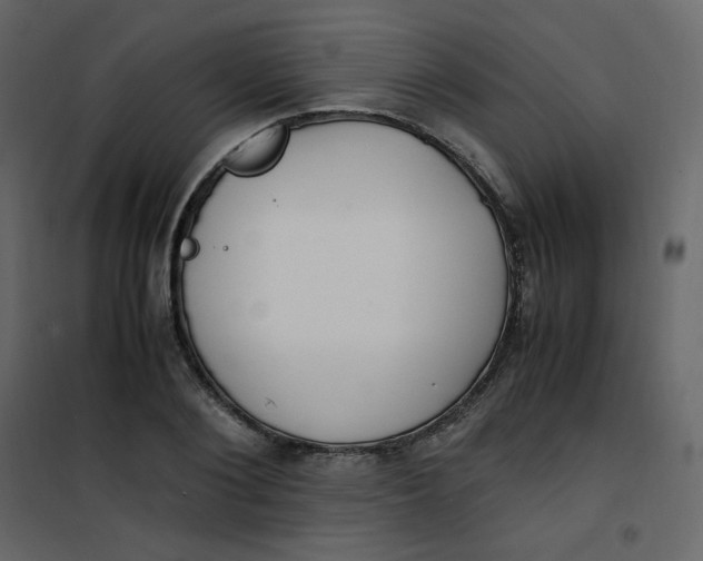 X0000101100884200807171909