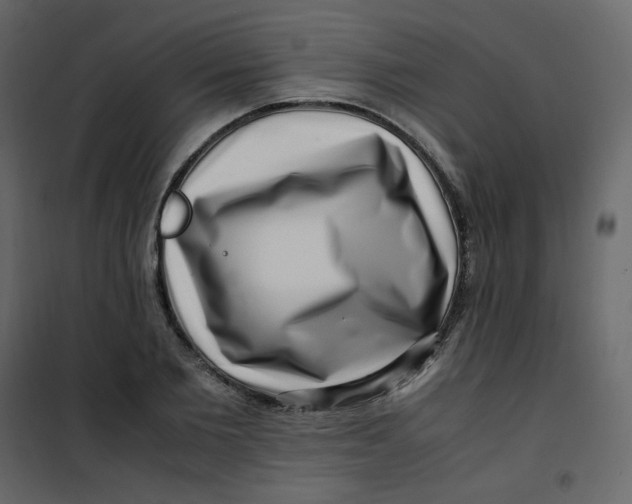 X0000101100885200807171909