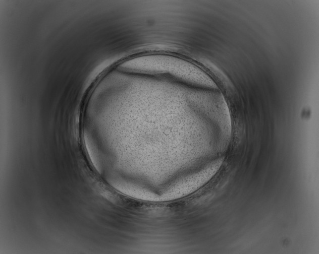 X0000101100886200807171909