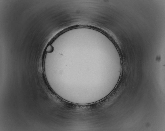 X0000101100887200807171909