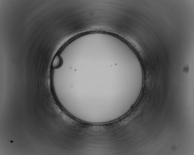 X0000101100888200807171909