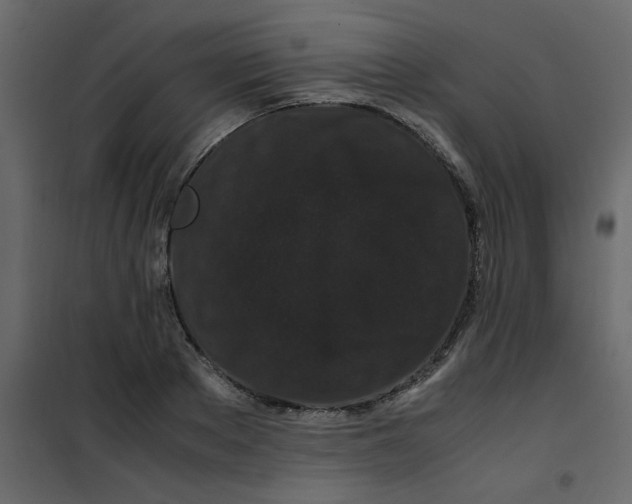 X0000101100889200807171909