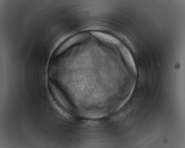 X0000101100890200807171909