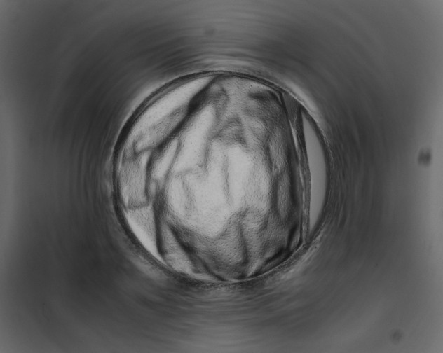 X0000101100891200807171909