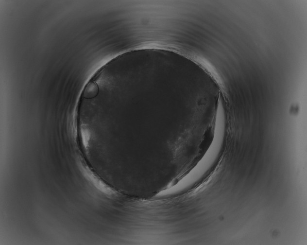 X0000101100892200807171909