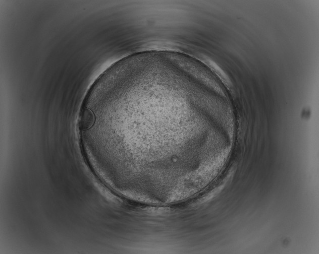 X0000101100893200807171909