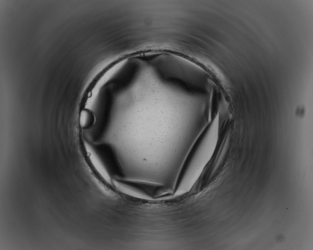 X0000101100894200807171909