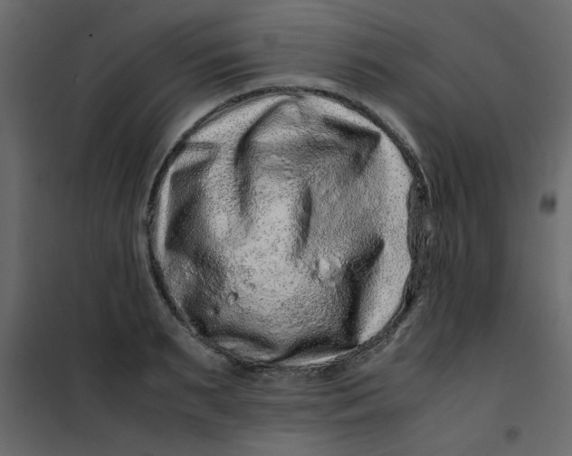 X0000101100895200807171909