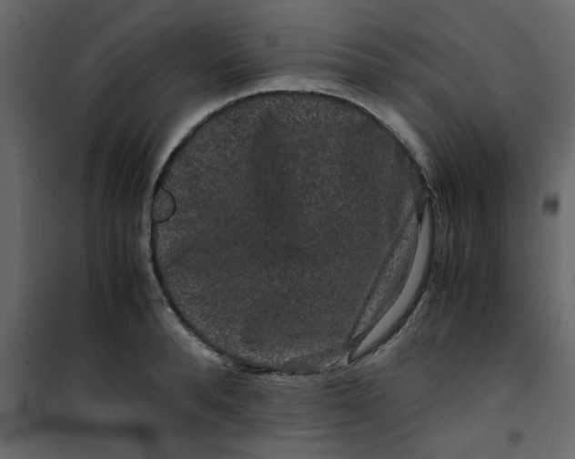 X0000101100896200807171909