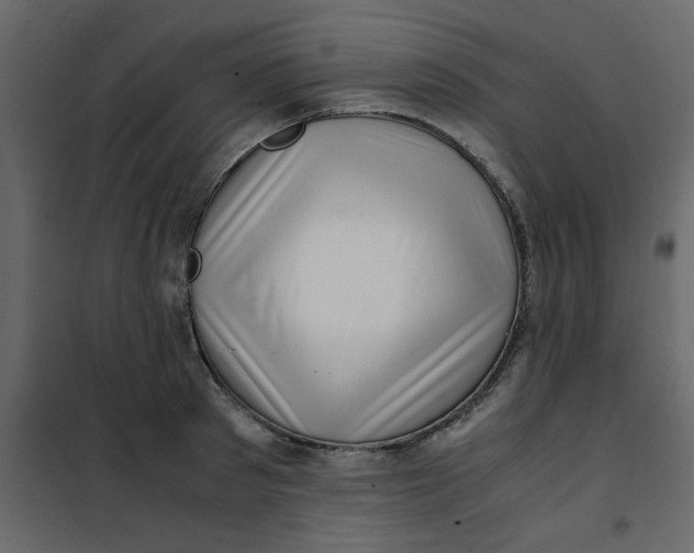 X0000101100897200807171909