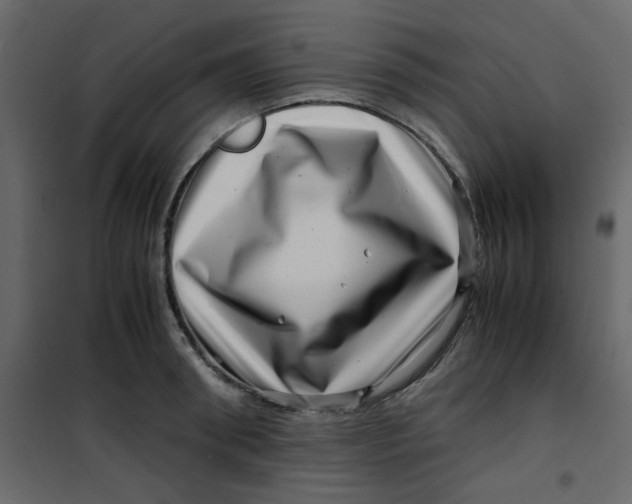 X0000101100898200807171909