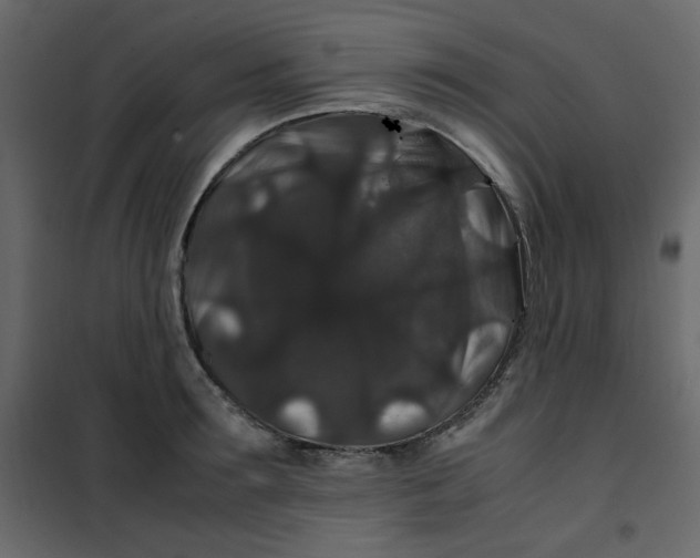 X0000101100899200807171909