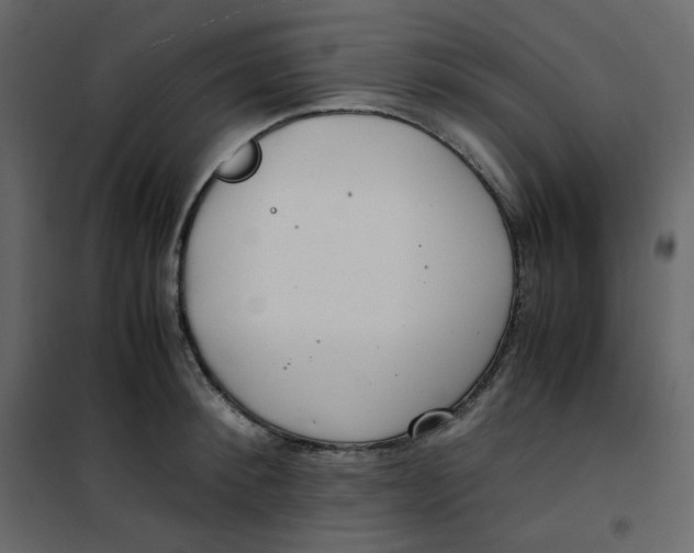 X0000101100900200807171909