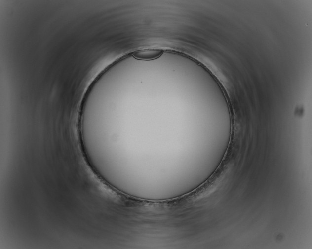 X0000101100901200807171909